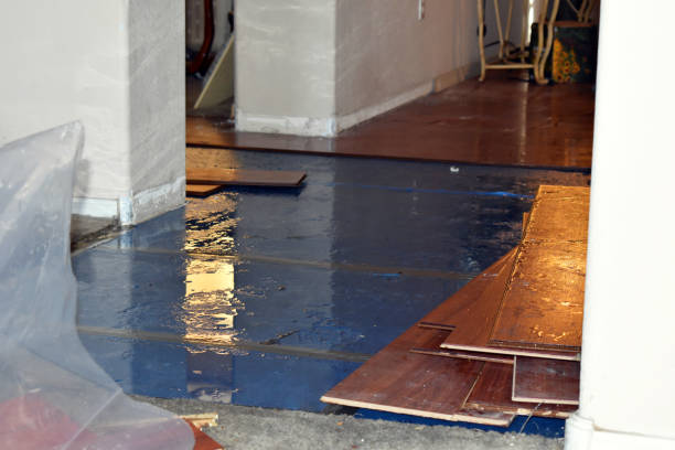 Professional Water Extraction technician working in Lane City, TX